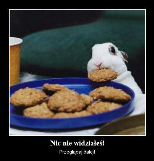 nockaaa 