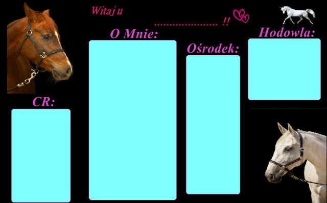 prezka nr.3