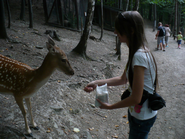 Sarenka Bambi.