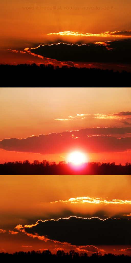 beauty of world