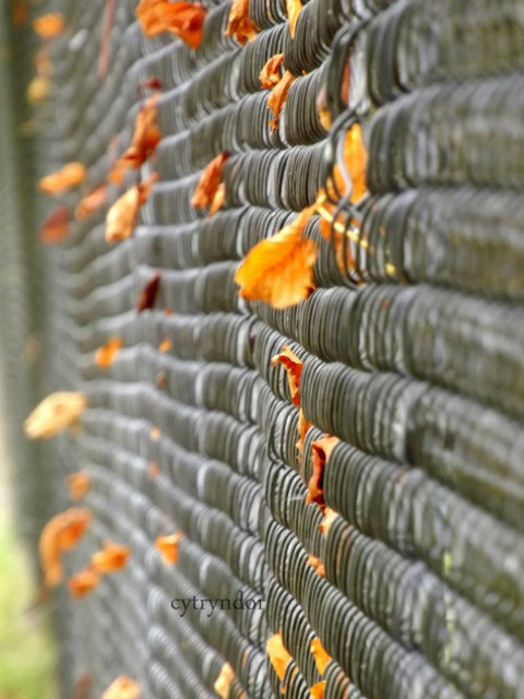 Autumn. 