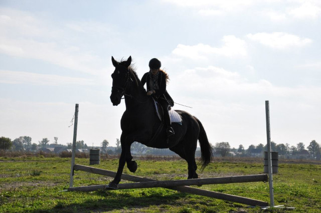 Huberus 2012
