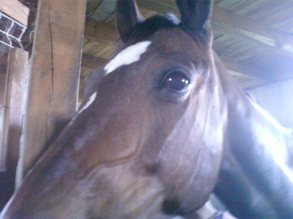 Grecjowata^^