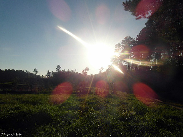 sunshine