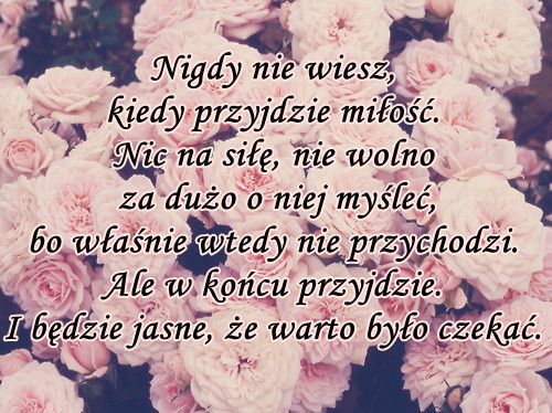 pitek. 