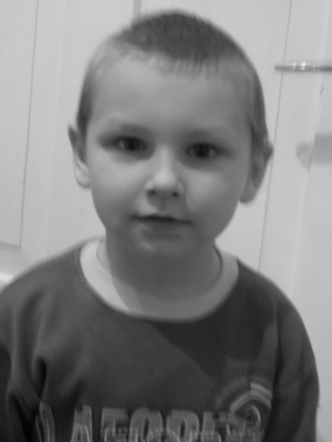sodziak ; 3 . 
