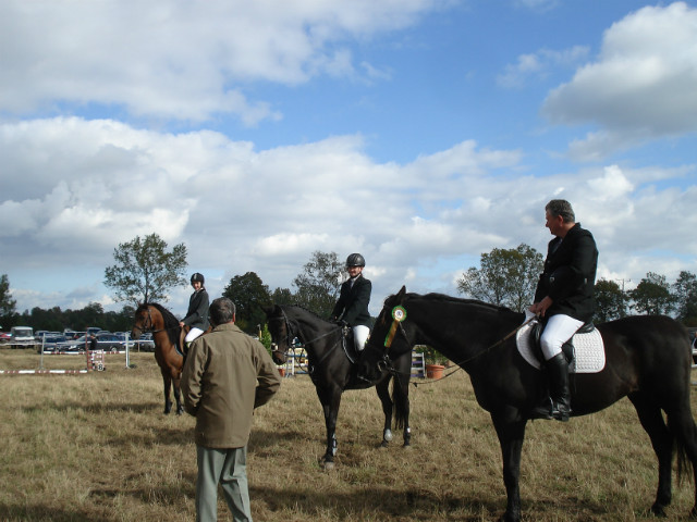 Okonek 2012r.