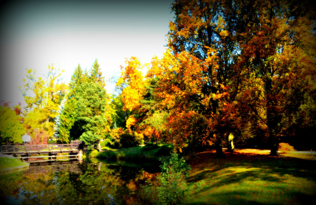 Arboretum w Krniku