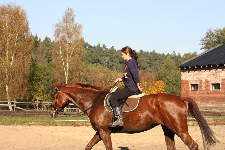 Dzisiejsze
