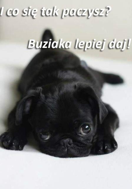 Kocham Cie