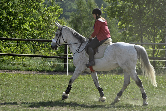 Emir .. 