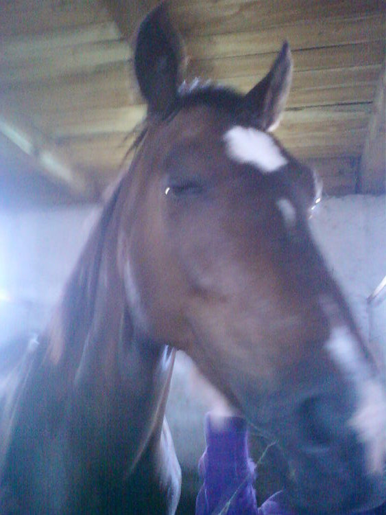 Grecjuuu 
