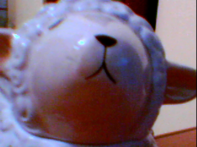 OWCA XD