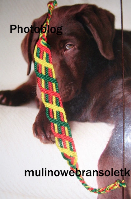 reggae