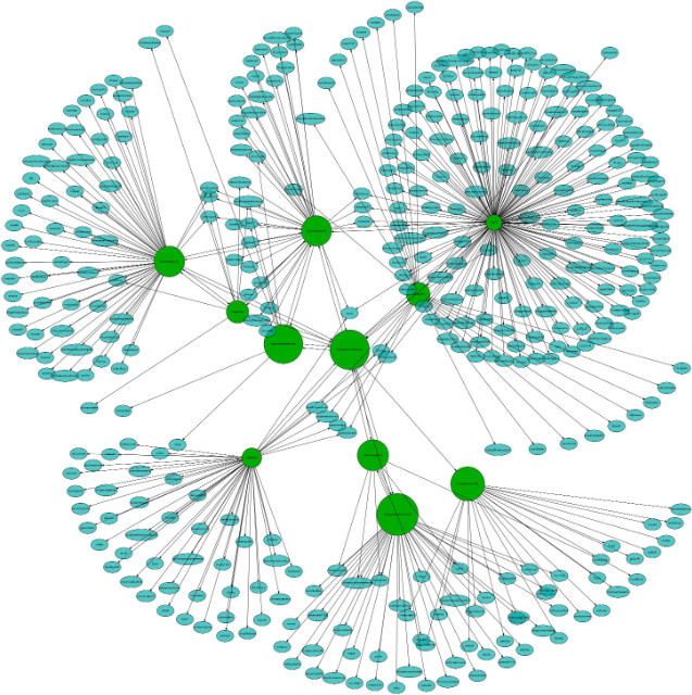 cURL + GraphViz