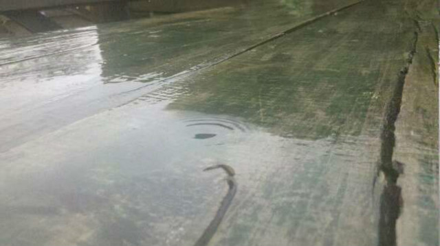 A Rainy Day