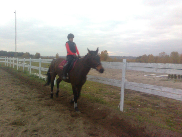 Galop bez strzemion:-P