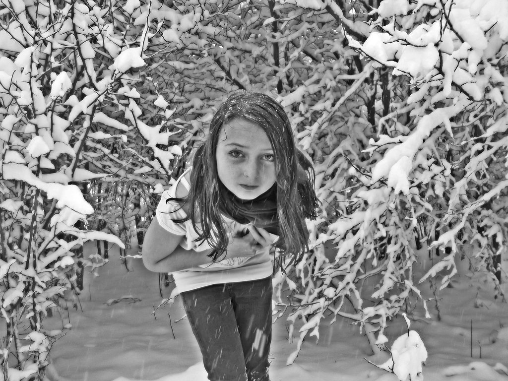 nieg 