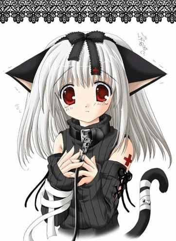 Kitty