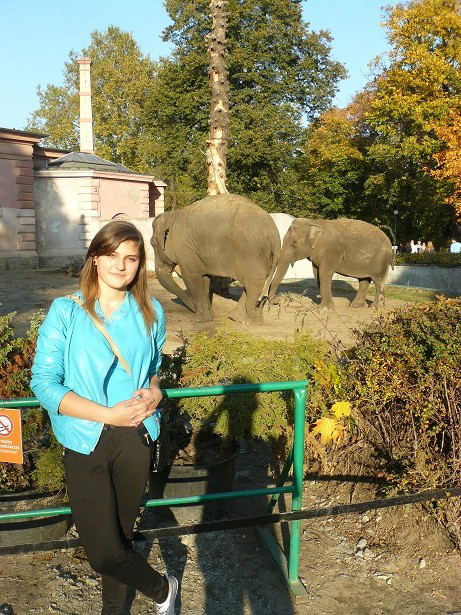 ZOO 