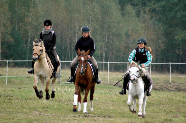 Pasiu, Jokasta, Kaach.