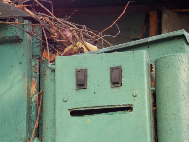 Smile please *
