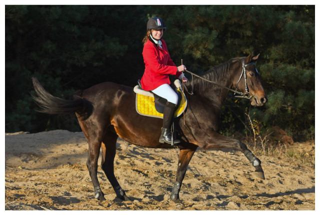 Hubertus 2012