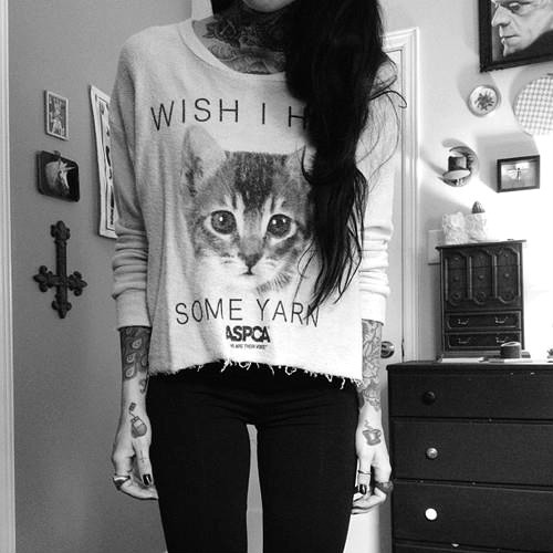 cat