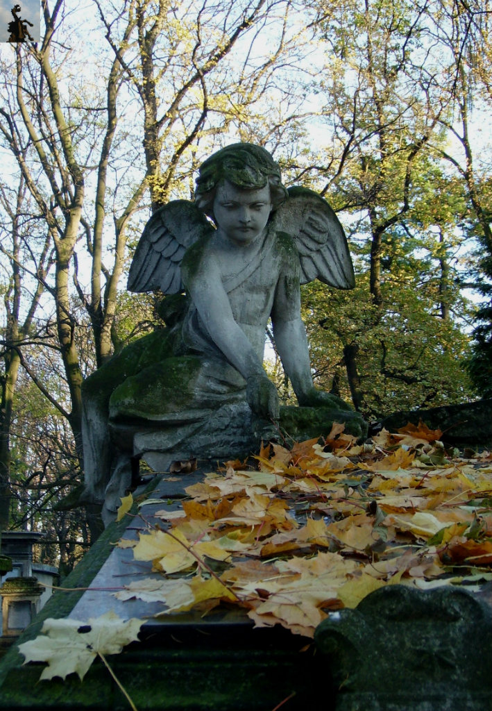 Cmentarz Rakowicki
