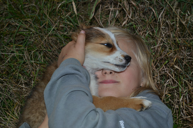 doggy..