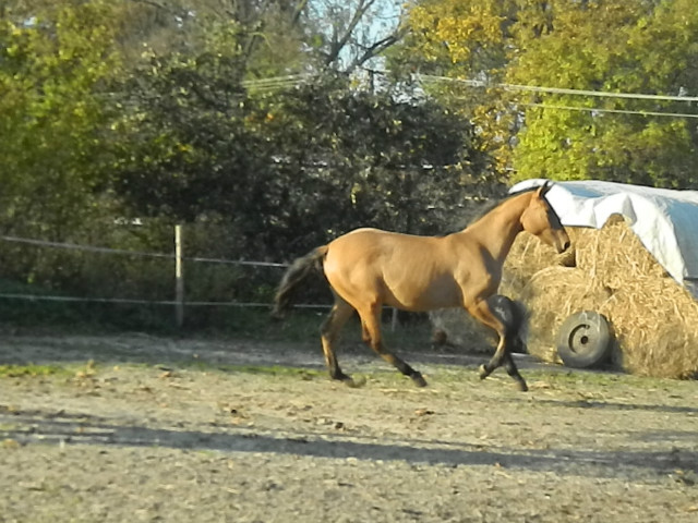 Ksiniczka :D