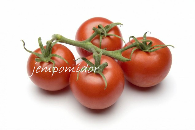 pomidorkie