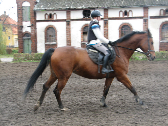 Galop.