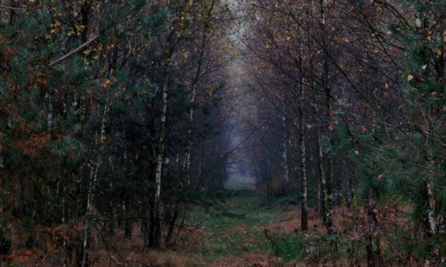 moja droga do Narnii