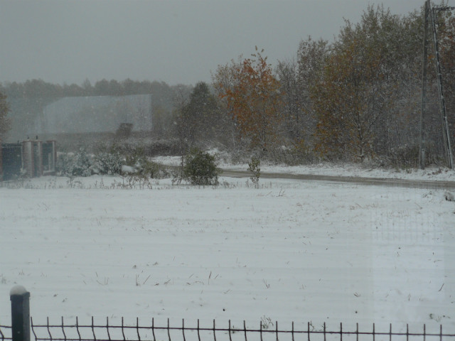 27-10-2012 Laskowa Otwock