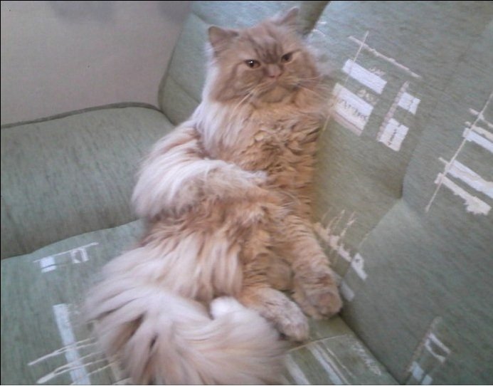 Rudy :)