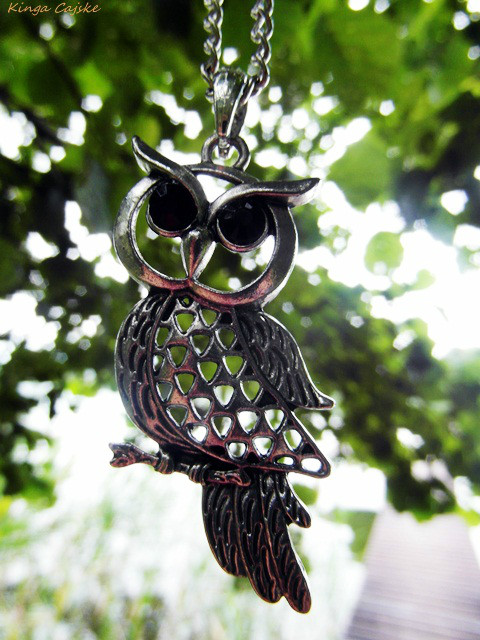 owl