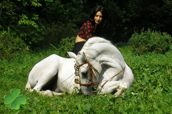 Zimowa niespodzianka. 3#