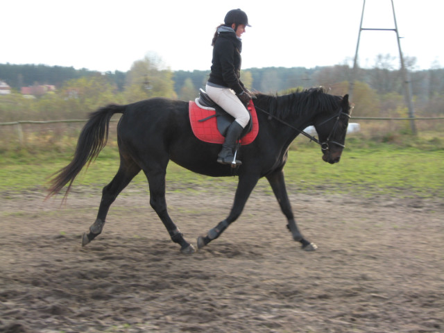 Dalmacja 01.11.2012