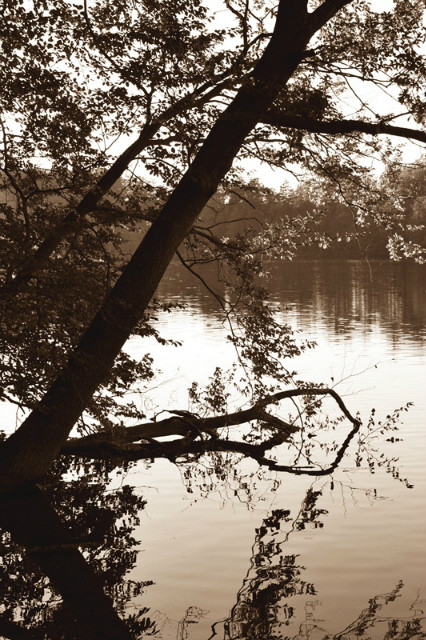 jezioro.
