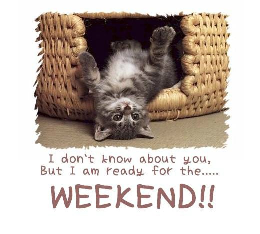 Weekend zapowiada si ciekawie;)