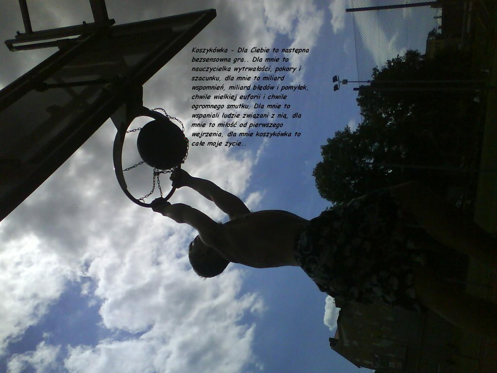 Basket 