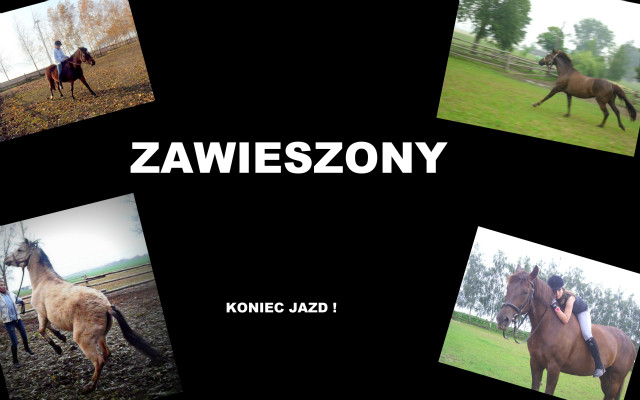 Zawieszony