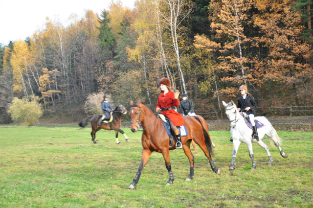 Hubertus 2012