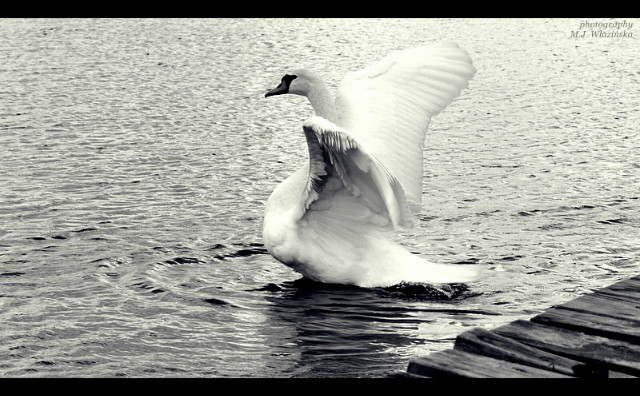 ` wspomnienia..