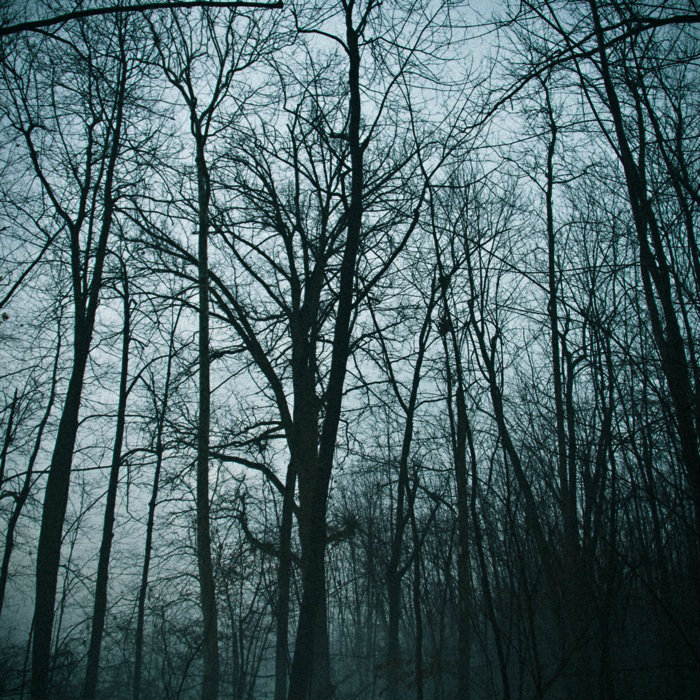 schizofrenia.