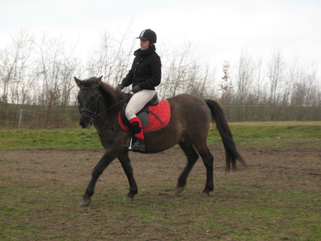 Lolek ;)