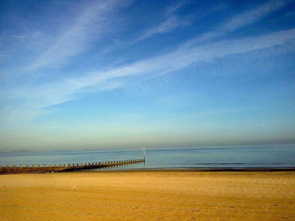 Portobello