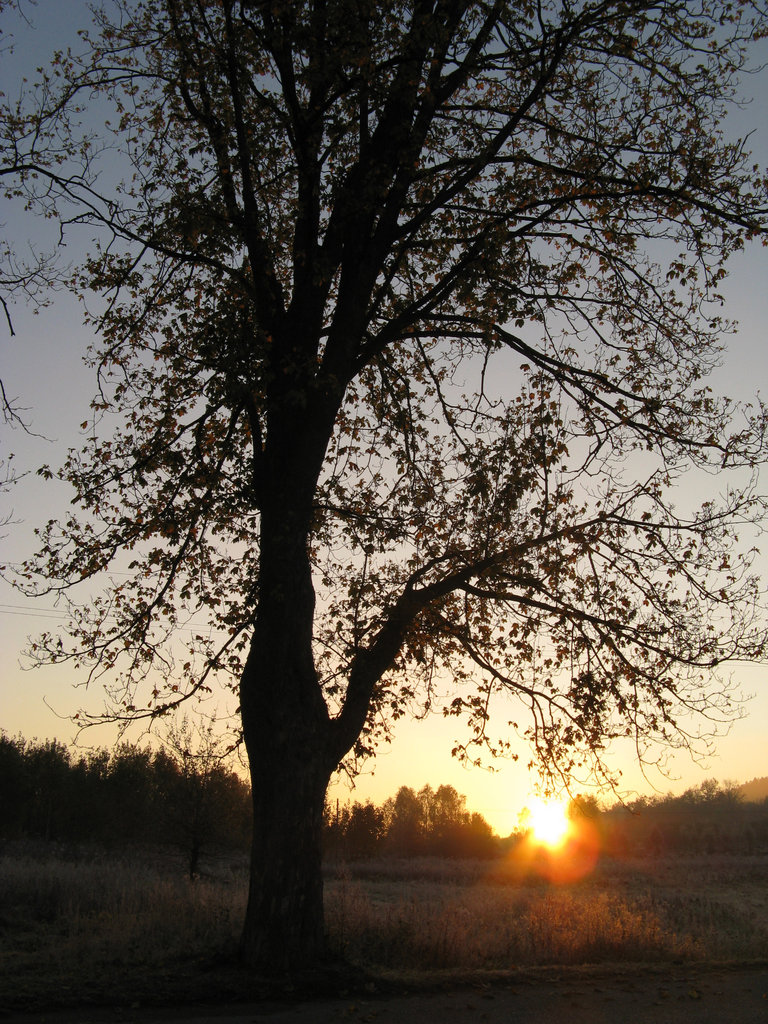 Beyond the sunset