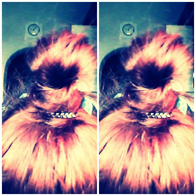 wuuuuuuam :3 